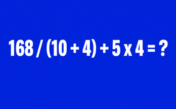 Answer: Order of Operations Math Puzzle
